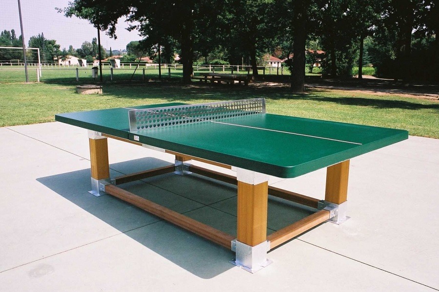 ping pong table only